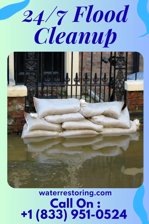 24/7 Flood Cleanup in Mansfield, IL