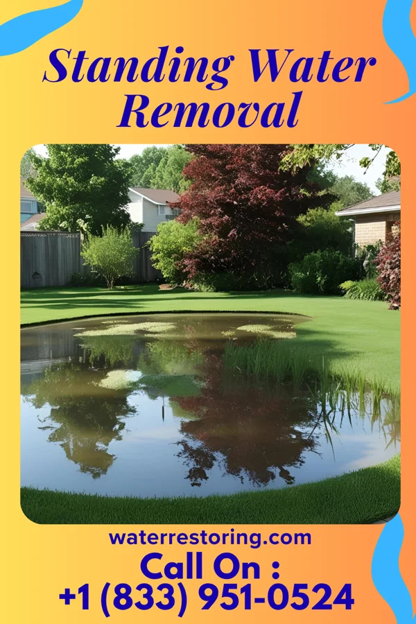 Standing Water Removal in Mansfield, IL